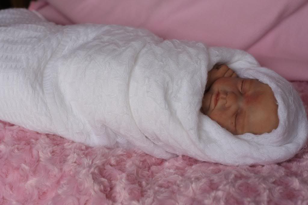 denise farmer reborn dolls